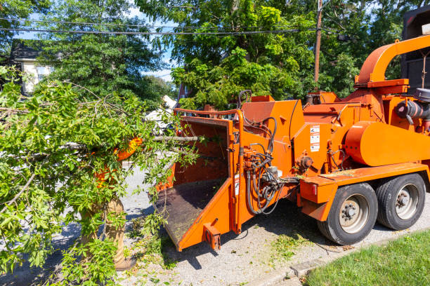 Tree Service Company in Park Forest Village, PA